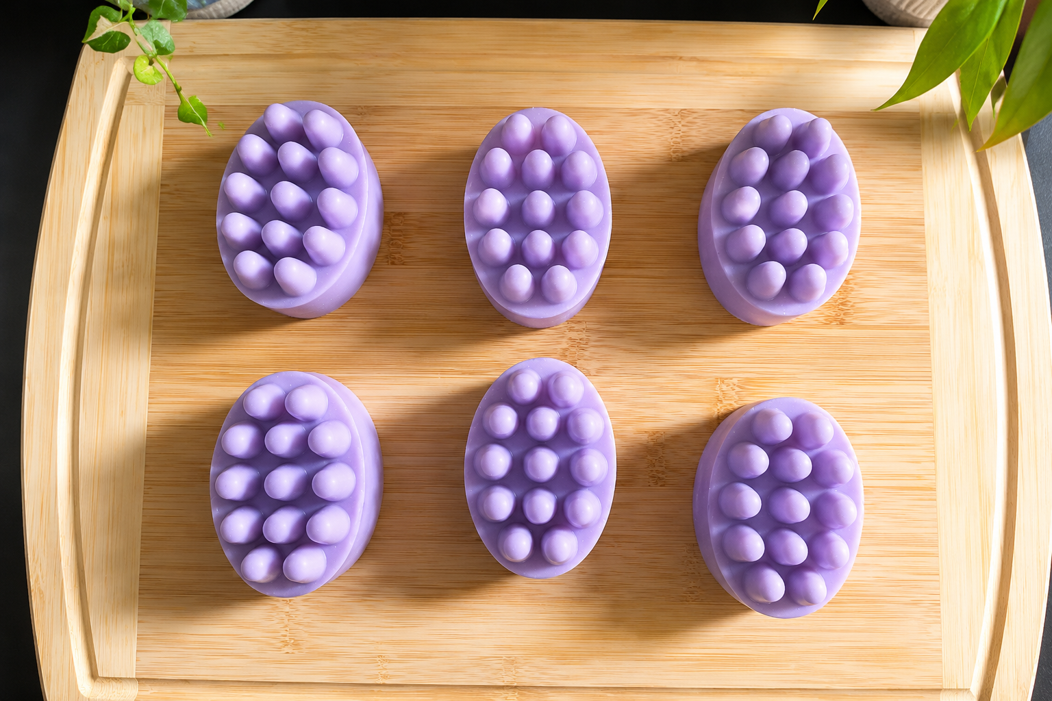 Root – Scalp Massage Conditioner Bar