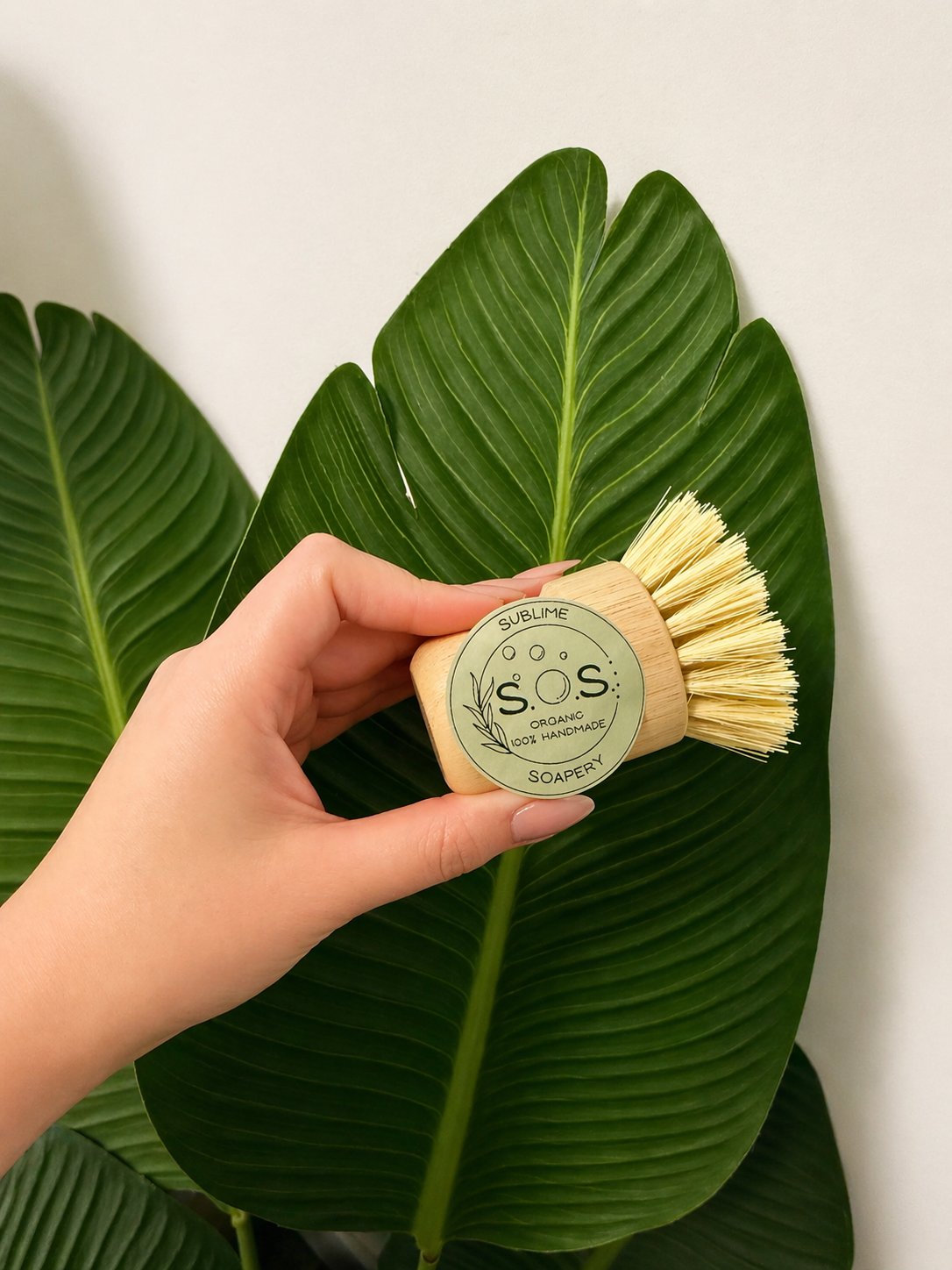 Natural Bamboo Cleaning Brush